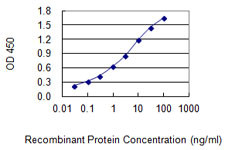 C9ORF169 Antibody in ELISA (ELISA)