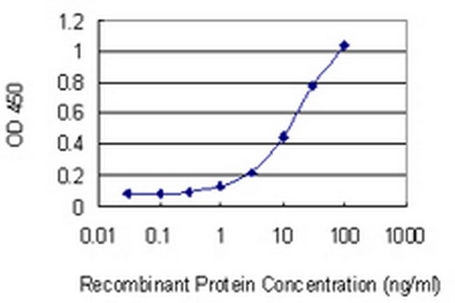 NHLRC1 Antibody in ELISA (ELISA)
