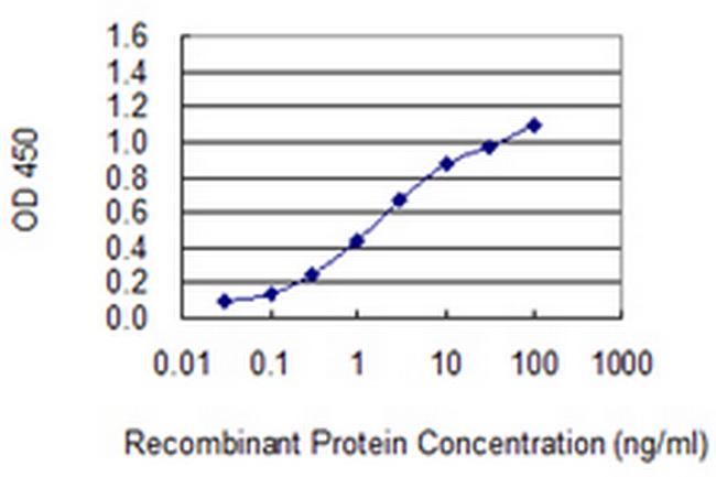 BOLA3 Antibody in ELISA (ELISA)