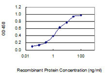 C5ORF48 Antibody in ELISA (ELISA)
