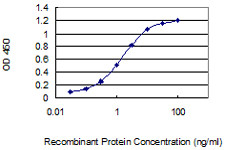 SPINK6 Antibody in ELISA (ELISA)