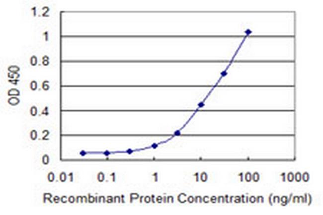 PDPK2 Antibody in ELISA (ELISA)