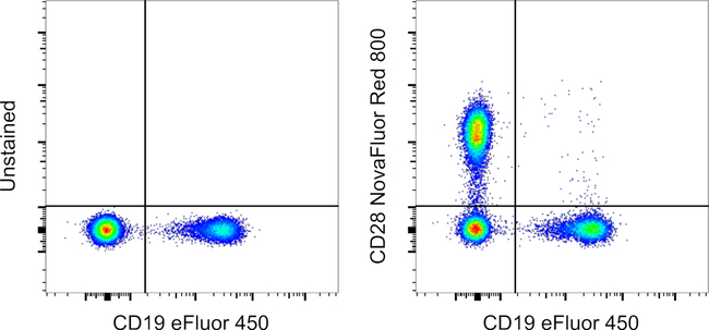 CD28 Antibody in Flow Cytometry (Flow)
