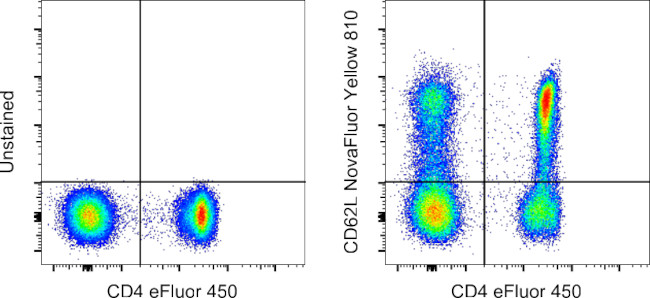 CD62L (L-Selectin) Antibody in Flow Cytometry (Flow)