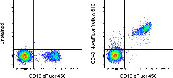CD40 Antibody in Flow Cytometry (Flow)