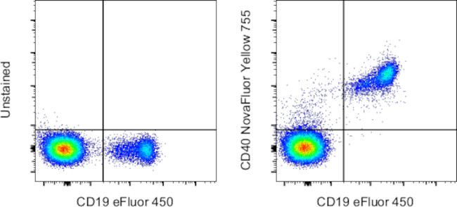 CD40 Antibody in Flow Cytometry (Flow)