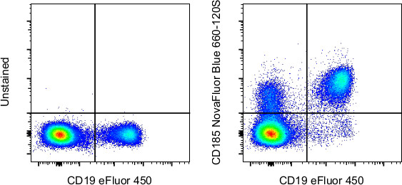 CD185 (CXCR5) Antibody in Flow Cytometry (Flow)