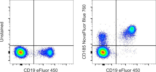 CD185 (CXCR5) Antibody in Flow Cytometry (Flow)
