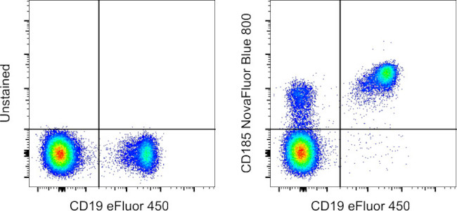 CD185 (CXCR5) Antibody in Flow Cytometry (Flow)
