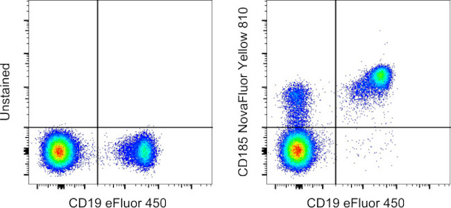 CD185 (CXCR5) Antibody in Flow Cytometry (Flow)
