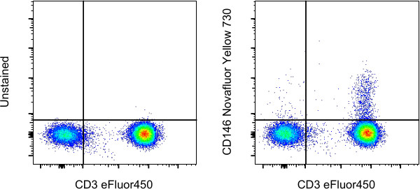 CD146 Antibody in Flow Cytometry (Flow)