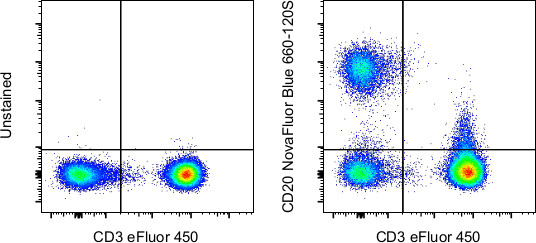 CD20 Antibody in Flow Cytometry (Flow)