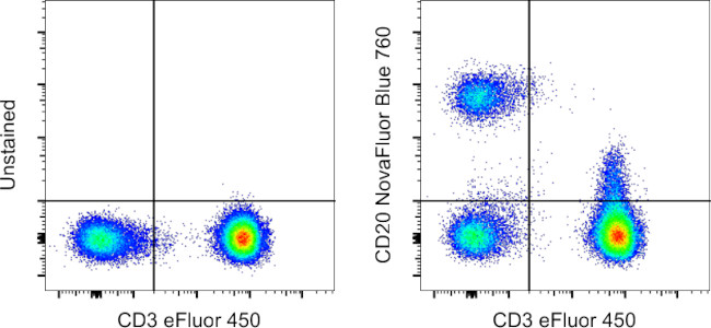 CD20 Antibody in Flow Cytometry (Flow)