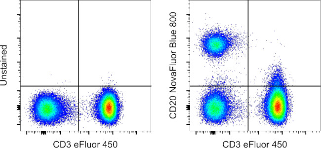 CD20 Antibody in Flow Cytometry (Flow)