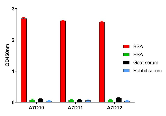 BSA Antibody in ELISA (ELISA)