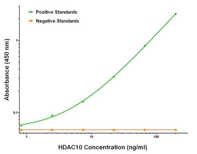 HDAC10 Antibody in ELISA (ELISA)