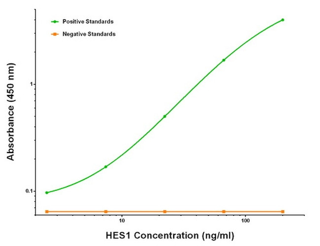 HES1 Antibody in ELISA (ELISA)