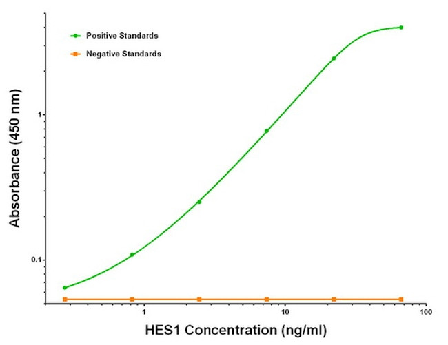 HES1 Antibody in ELISA (ELISA)