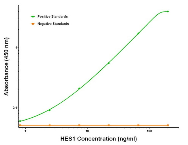 HES1 Antibody in ELISA (ELISA)