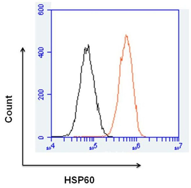 HSP60 Antibody in Flow Cytometry (Flow)