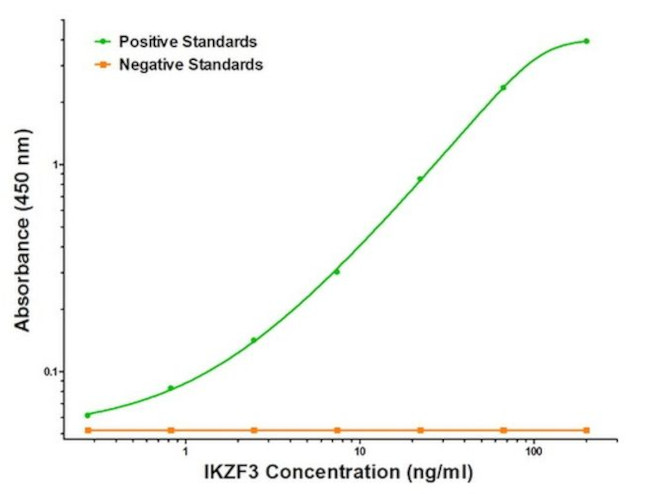 IKZF3 Antibody in ELISA (ELISA)