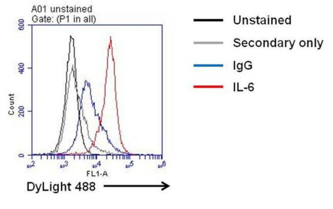 IL-6 Antibody in Flow Cytometry (Flow)