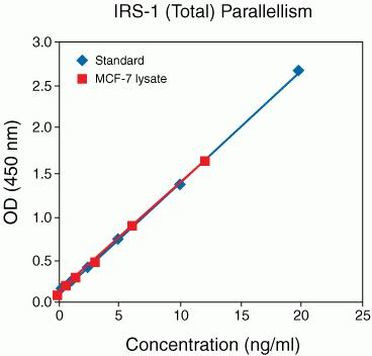 Human IRS1 (Total) ELISA Kit