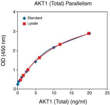 Human AKT1 (Total) ELISA Kit