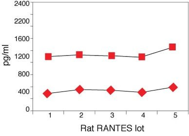 Rat RANTES ELISA Kit