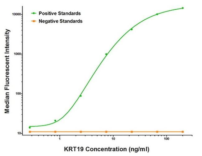 KRT19 Antibody in Luminex (Luminex)