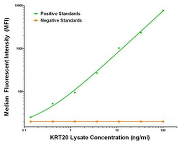 KRT20 Antibody in Luminex (Luminex)