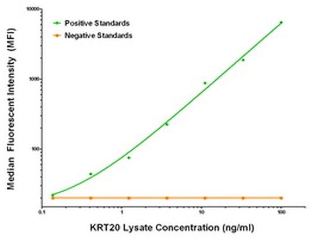 KRT20 Antibody in Luminex (Luminex)
