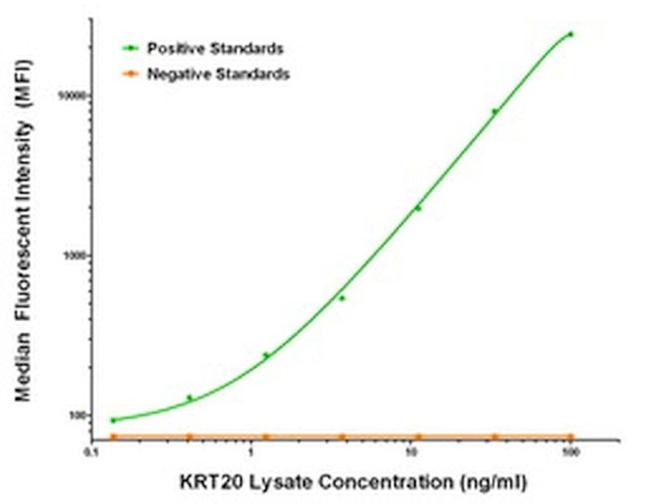 KRT20 Antibody in Luminex (Luminex)