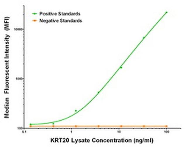 KRT20 Antibody in Luminex (Luminex)