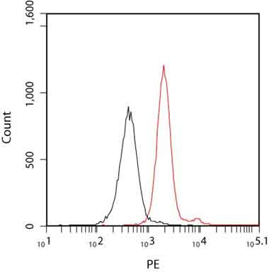Ki67 Antibody in Flow Cytometry (Flow)