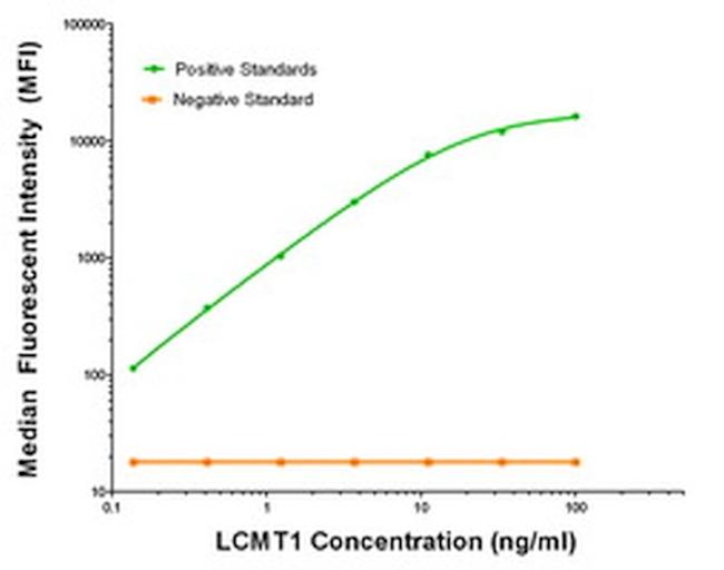 LCMT1 Antibody in Luminex (Luminex)