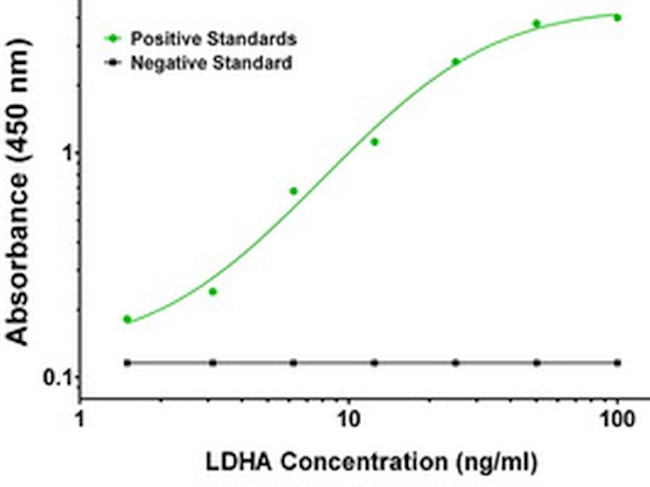 LDHA Antibody in ELISA (ELISA)