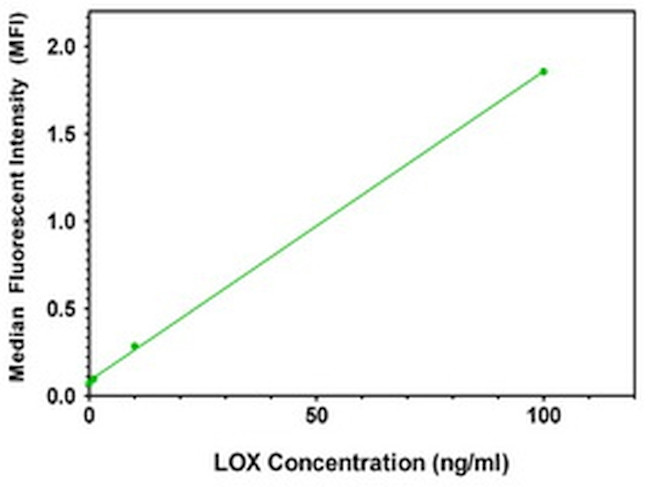 LOX Antibody in ELISA (ELISA)