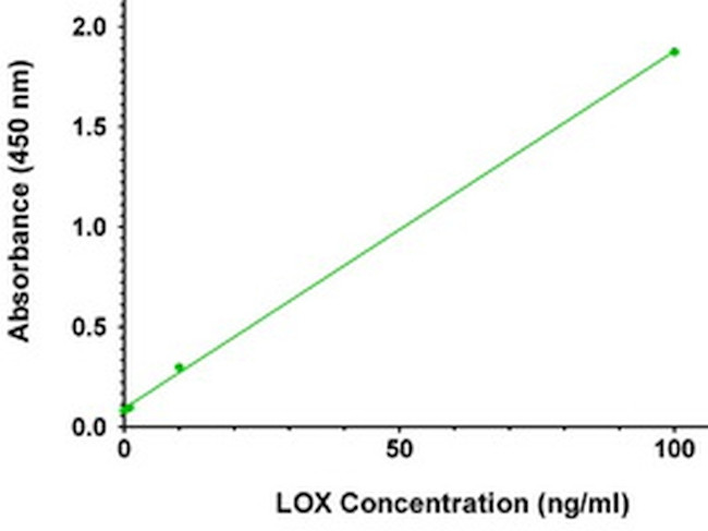 LOX Antibody in ELISA (ELISA)