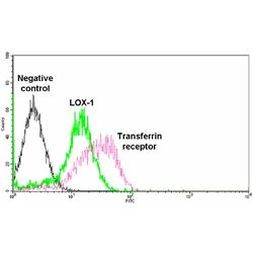 LOX-1 Antibody in Flow Cytometry (Flow)