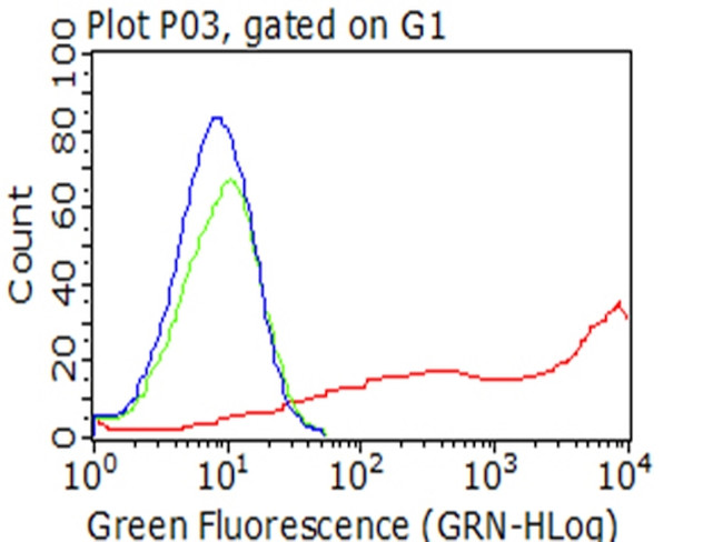 LYVE1 Antibody in Flow Cytometry (Flow)