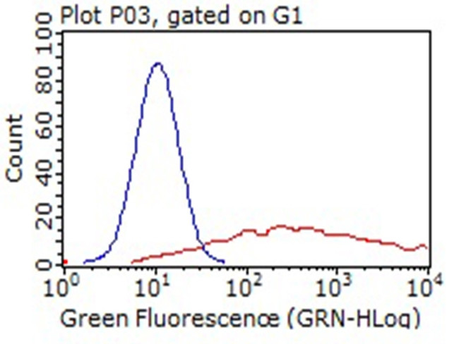 LYVE1 Antibody in Flow Cytometry (Flow)