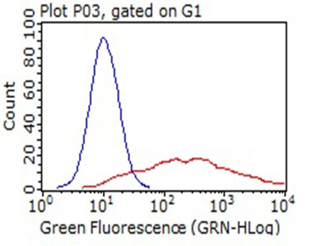 LYVE1 Antibody in Flow Cytometry (Flow)