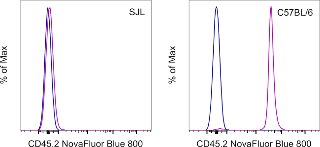 CD45.2 Antibody in Flow Cytometry (Flow)