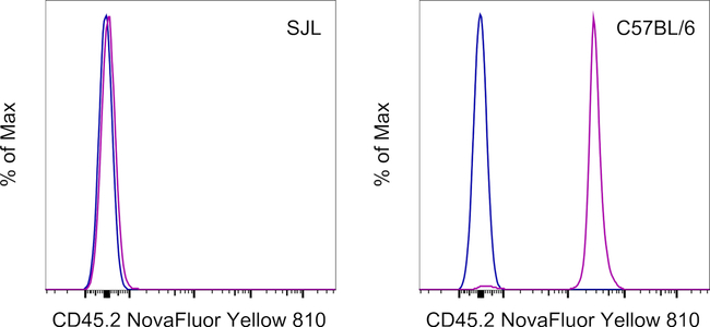 CD45.2 Antibody in Flow Cytometry (Flow)