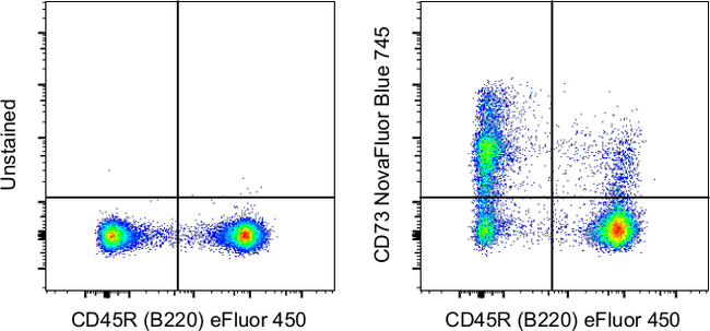CD73 Antibody in Flow Cytometry (Flow)
