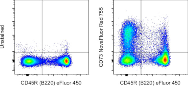 CD73 Antibody in Flow Cytometry (Flow)