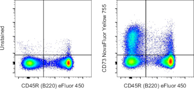 CD73 Antibody in Flow Cytometry (Flow)