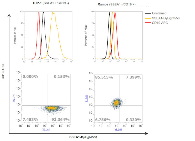 SSEA1 Antibody in Flow Cytometry (Flow)
