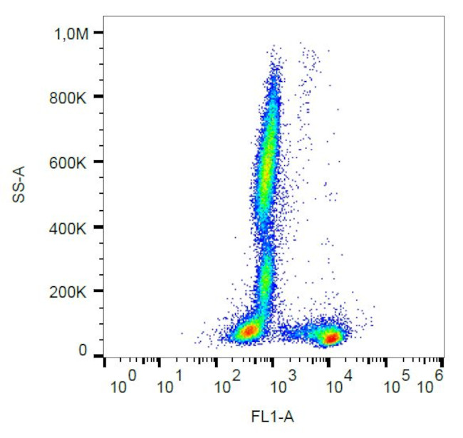 CD27 Antibody in Flow Cytometry (Flow)